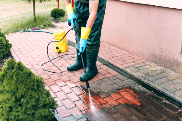 Best Pressure Washing Patio  in Dupo, IL