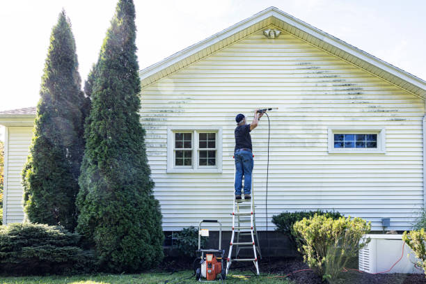 Best Pressure Washing Siding  in Dupo, IL