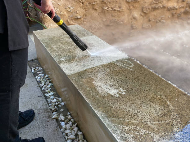 Best Roof Pressure Washing  in Dupo, IL