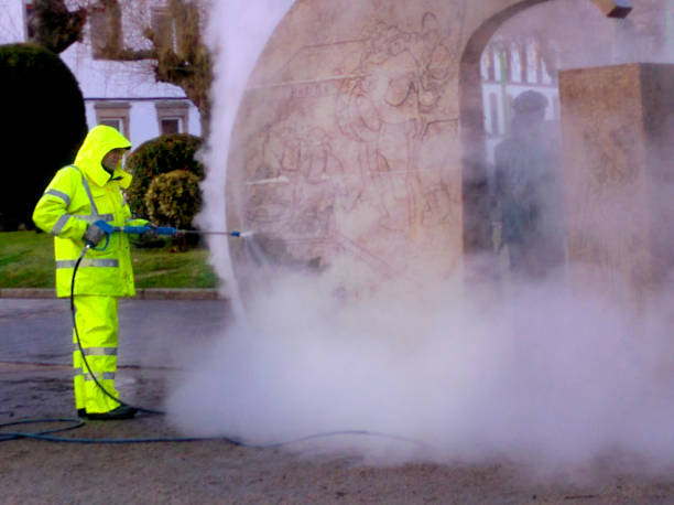 Best Pressure Washing Company Near Me  in Dupo, IL