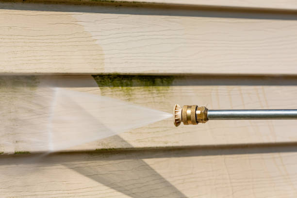 Best Pressure Washing Estimates  in Dupo, IL