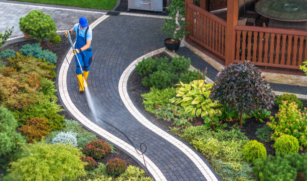 Best Deck Cleaning Services  in Dupo, IL