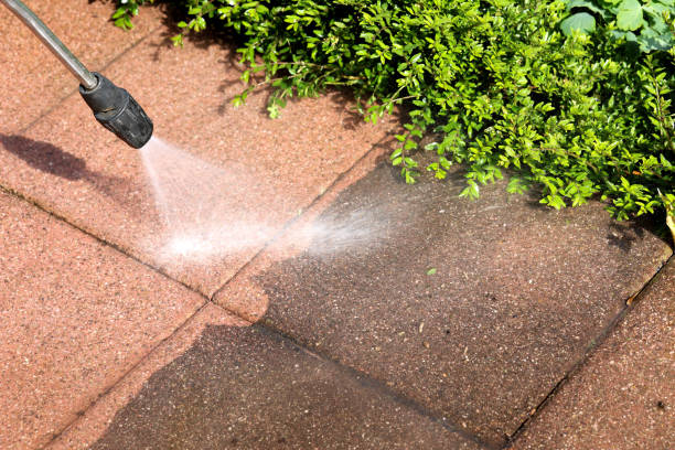 Best Residential Pressure Washing Services  in Dupo, IL
