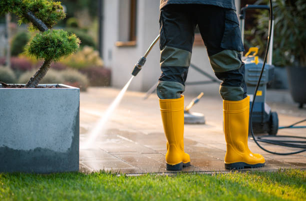 Best Commercial Building Pressure Washing  in Dupo, IL